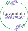 Levandulové údolí